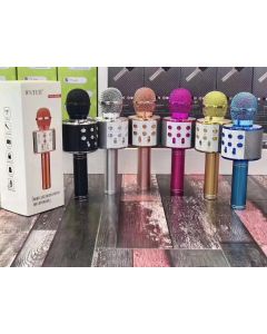 Wster ws-858 microfono wireless con bluetooth altoparlante cassa integrata