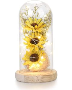 Girasole artificiale in cupola di vetro con striscia luminosa a led