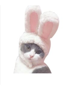 Cappello da Coniglio per Gatti Costume da Coniglio per Pasqua Compleanno Halloween