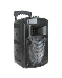 Cassa speaker portatile 8" MR-213A bluetooth radio fm microsd usb
