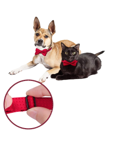 Papillon Formale per animali domestici - regolabile con colletto