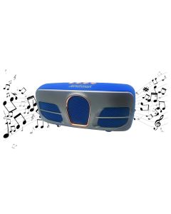 Cassa speaker wireless bluetooth FM chiamate vivavoce TF Card usb QY-15