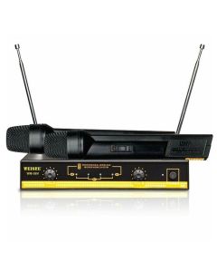 Microfono dual channel wireless microfono WM-06V professionale senza fili