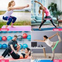 3 Pezzi Elastici Fitness, Elastici Palestra Elastico Fitness Fasce Elastiche Fitness Bande Elastiche Fitness Con Ancoraggio Per Porta, Resistance Band Per Palestra Fitness Pilates Yoga - copertina